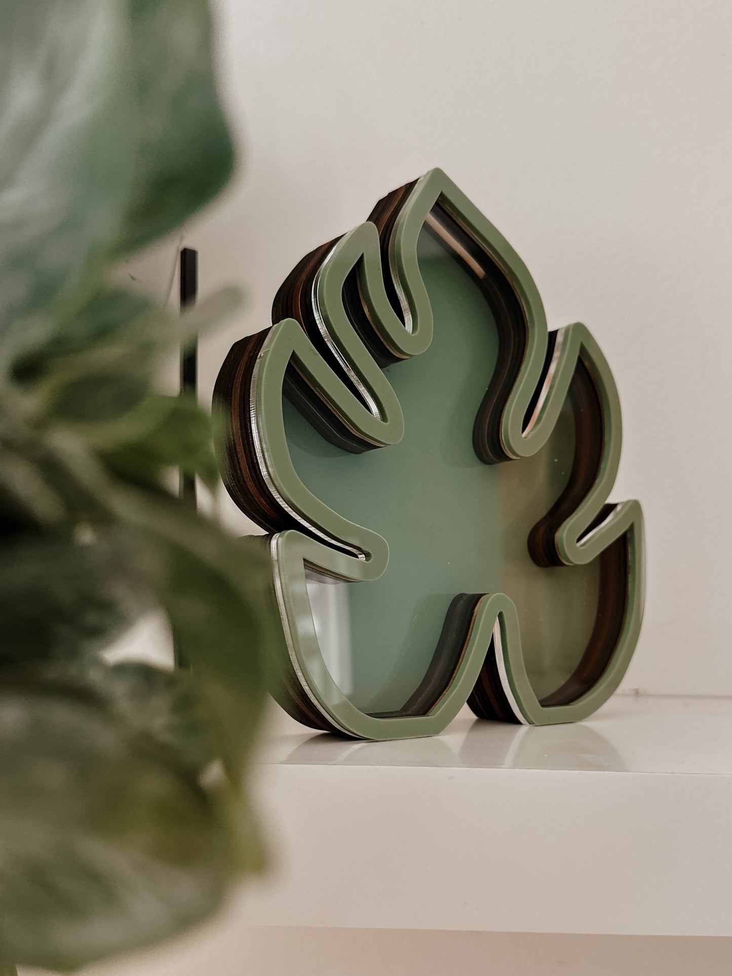 Tirelire - plante monstera