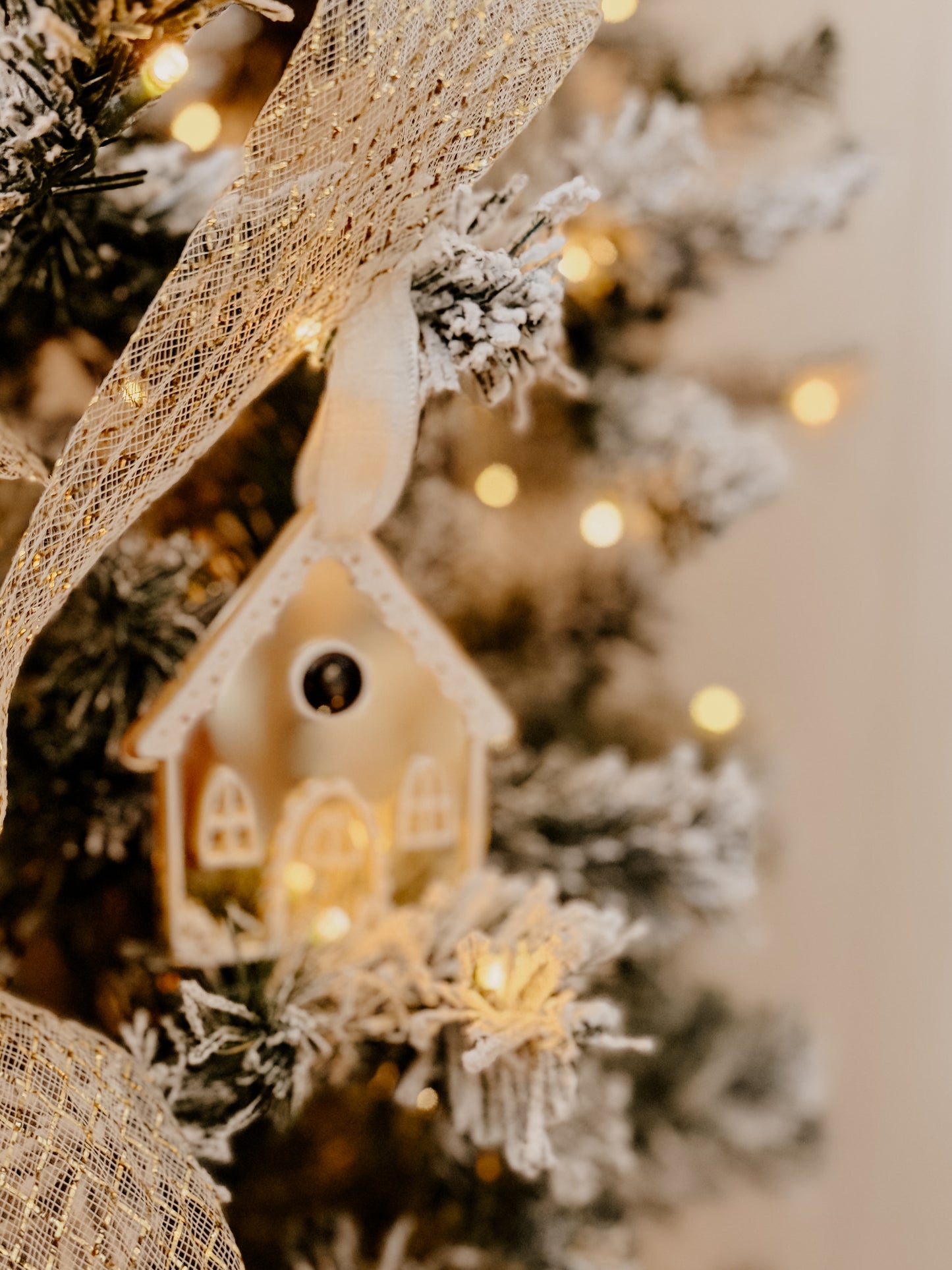 Caméra du père Noël