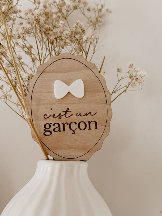 Révélation garçon