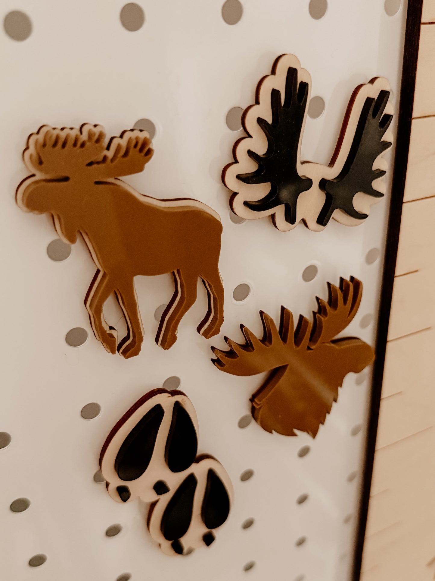 Aimants de chasse